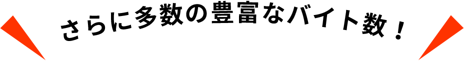 さらに多数の豊富なバイト数!