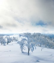 リゾートバイト体験談（北海道）