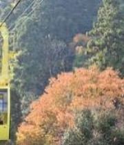 カジュアルな雰囲気のホテル
