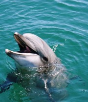 沖縄の石垣島でのお仕事