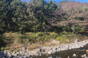 箱根の温泉郷の一角にたたずむホテルで仲居のお仕事!