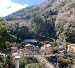 伊東園ホテルで調理スタッフ募集!