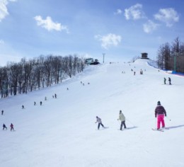 長野県スキー場でチケット販売スタッフ募集開始❄