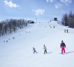 北海道でパトロールのお仕事!
