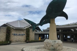 人気水族館で売店スタッフ募集!