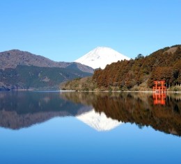 箱根小涌園のリゾートホテルでのレストラン業務🍳