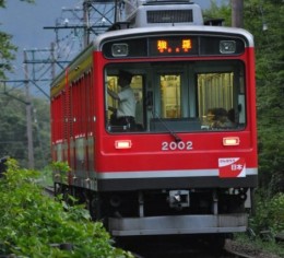 美しい強羅の自然に囲まれた温泉旅館です♪
