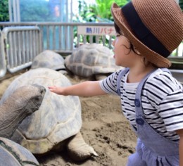 海の近くで働きたい方におすすめ!熱川のホテルでのお仕事♪