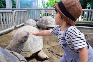 海まで約10分!相模湾を見下ろす高台のホテルです♪