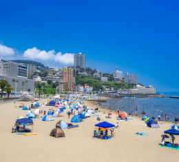 オーシャンビューの絶景ホテルで調理補助のお仕事♪