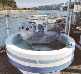 【2月スタート】鳥羽でフロントスタッフ♪