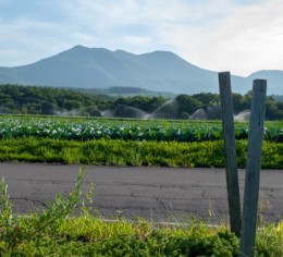 嬬恋村でフロント・レストランのお仕事♪