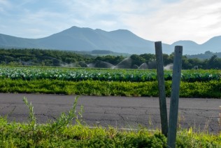嬬恋村でフロント・レストランのお仕事♪