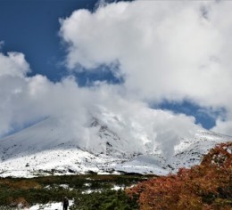 北海道の中心部で予約事務のお仕事♪