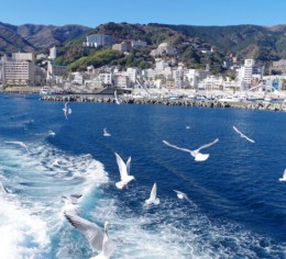 【静岡県でリゾートバイト】レストランスタッフ募集♪