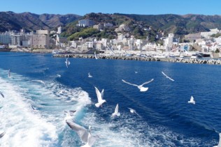 【静岡県でリゾートバイト】レストランスタッフ募集♪