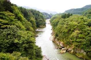 日光で調理の即日スタッフ♪