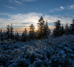 【高時給】キレイな雪景色の中でリゾートバイト!