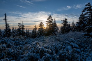 【高時給】キレイな雪景色の中でリゾートバイト!