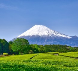 伊豆のリゾートホテルで宴会場のお仕事♪