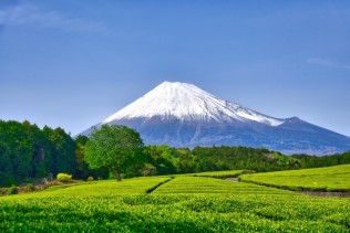 伊豆のリゾートホテルでレストランのお仕事♪