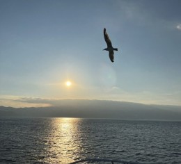相模湾を見渡す人気の離島で調理補助スタッフ募集♪