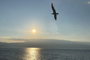 相模湾を見渡す人気の離島で調理補助スタッフ募集♪
