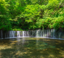 【夏案件】北軽井沢で裏方スタッフ募集!