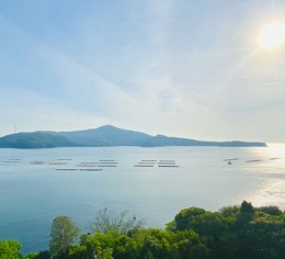 【寮費・光熱費無料】三重県でレストランスタッフ募集中!