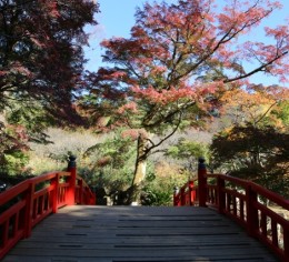 絶景のリゾートホテルで調理補助スタッフ募集!