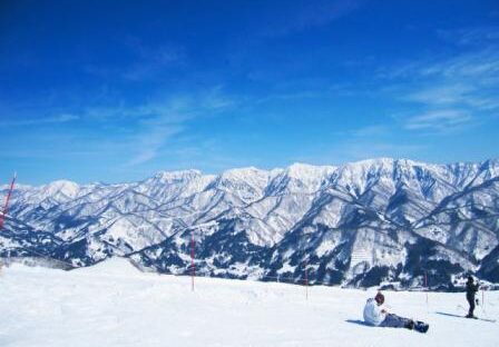 花形のインフォメーションセンターでのお仕事❄
