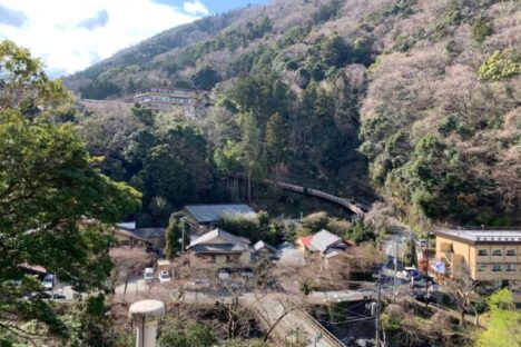 伊東園ホテルで調理スタッフ募集！