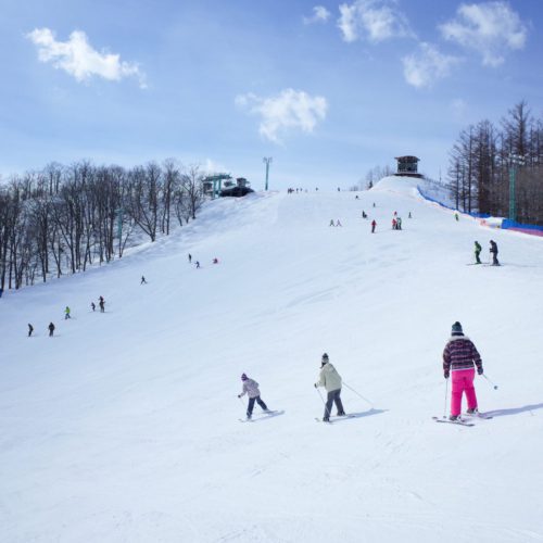 北海道でパトロールのお仕事！