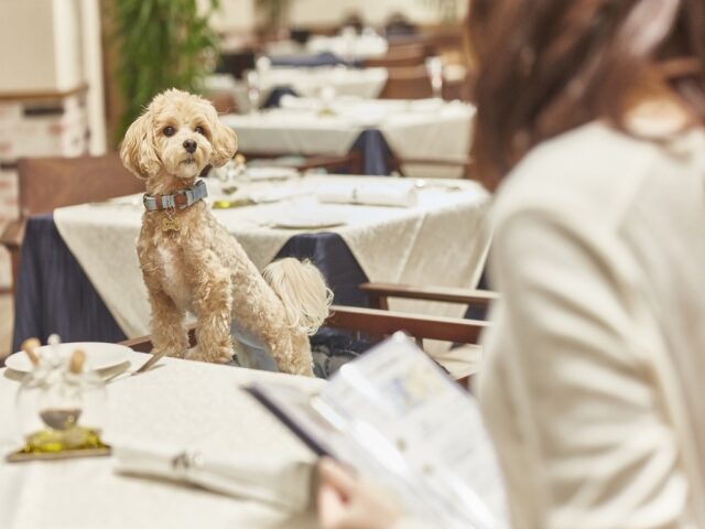長野県・軽井沢で洗い場スタッフ募集♪