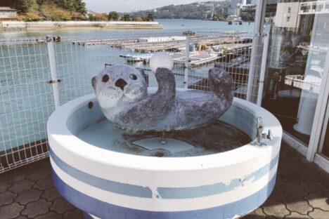 【2月スタート】鳥羽でフロントスタッフ♪