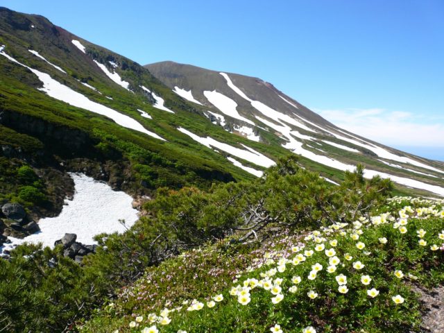 北海道のリゾートホテルでのフロントのお仕事♪