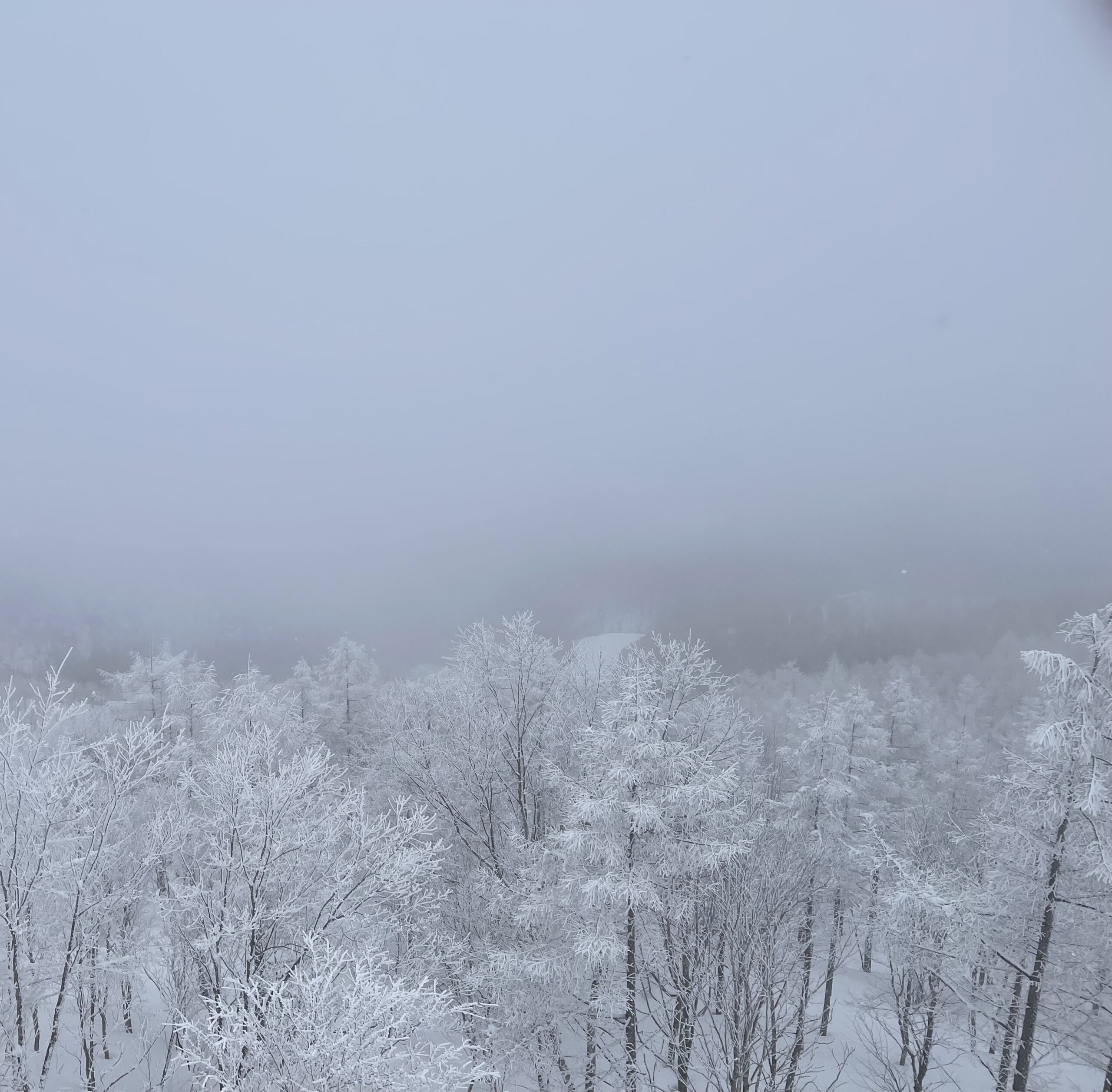 リゾートホテル併設のスキー場でチケット販売のお仕事！