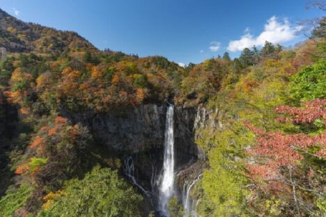 【GWは栃木県・日光へ】飲食スタッフ募集！