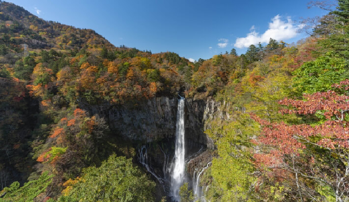 【GWは栃木県・日光へ】飲食スタッフ募集！