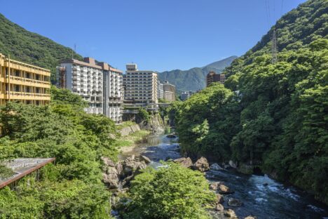 シックなリゾートホテルでレストランホールのお仕事🍴✨
