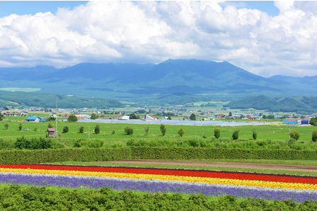 【有名観光地・富良野でリゾートバイト】ハウスキーピングのお仕事♪