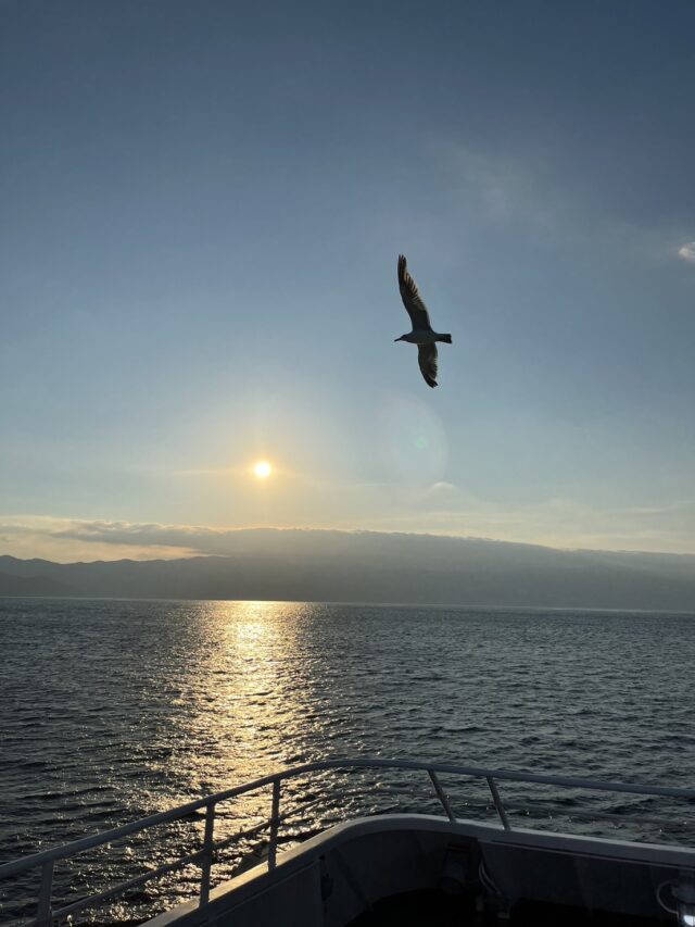 相模湾を見渡す人気の離島で調理補助スタッフ募集♪