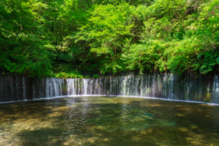 【夏案件】北軽井沢で裏方スタッフ募集！