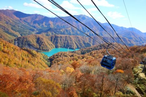 【短期】苗場でレストランスタッフ大募集！