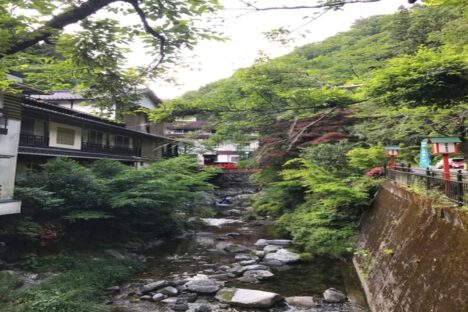 【湯来温泉】調理スタッフ募集！